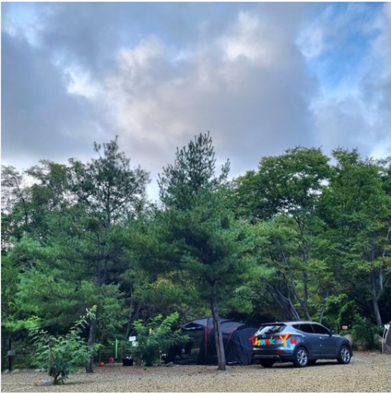 울산캠핑장 경주 양남라라캠핑장 별 쏟아지는 감성 캠핑장이에용