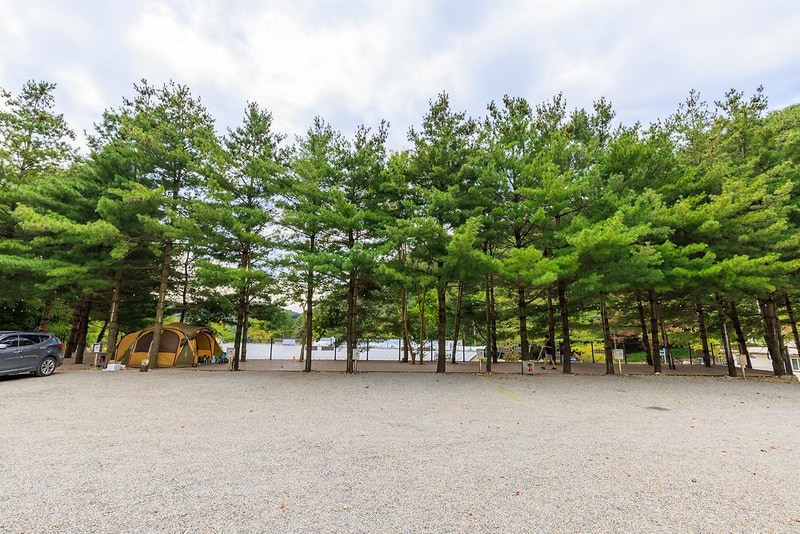 아우내관광농원캠핑장 시설 사진 13