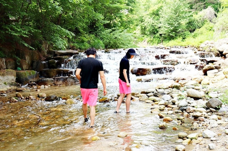 평창 솔섬오토캠핑장 신식시설 오픈 온수수영장까지 ♪