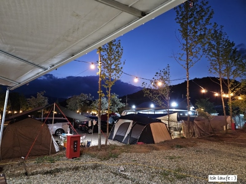 2-4. 포항서숲오토캠핑장 (카라반)