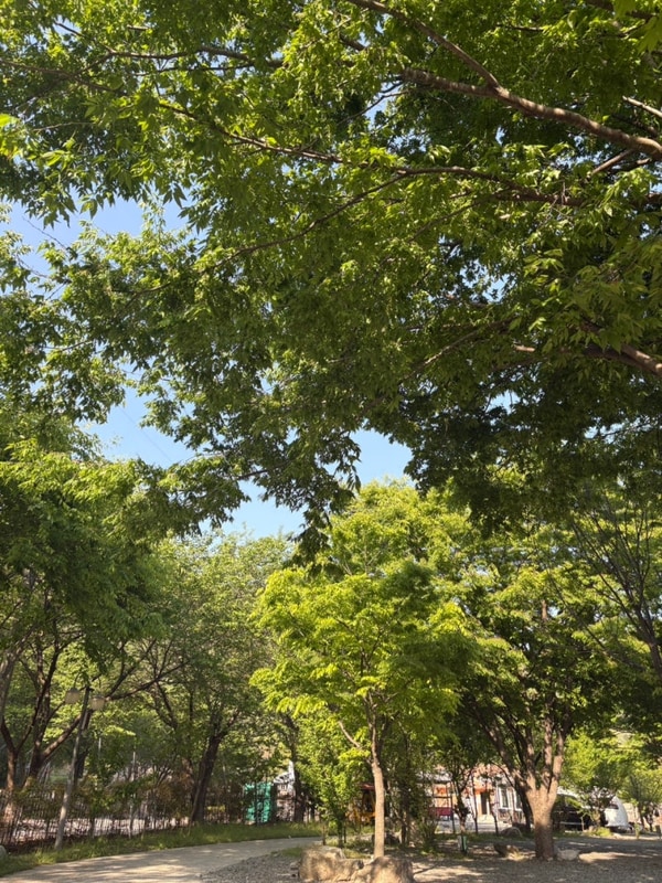 너무 좋았던 4월의 캠핑, 성주 별고을오토캠핑장