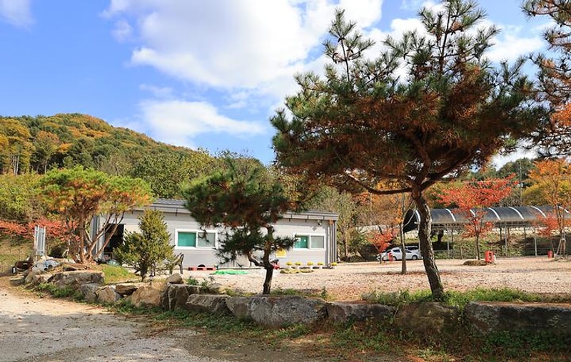 포천그린별캠핑장 대표 사진