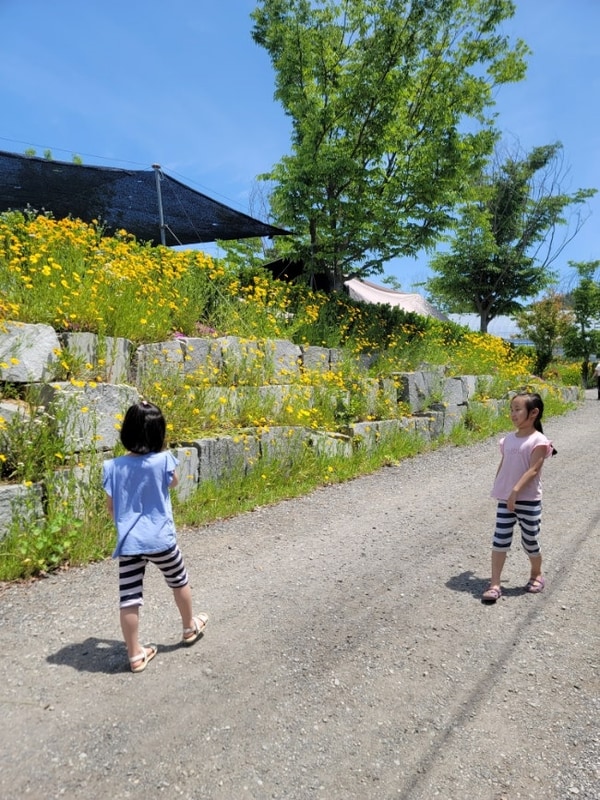 화순 숲속의베리팜 아이랑 2박3일 캠핑