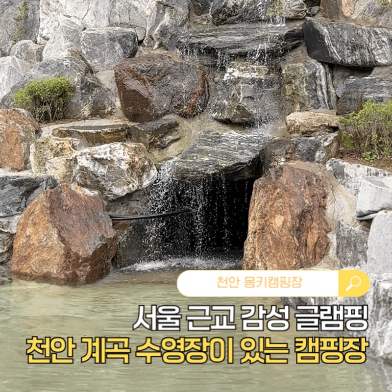 서울 근교 감성 글램핑, 천안 계곡 수영장 몽키캠핑장!