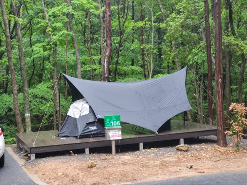 한 남해 캠핑. 국립 남해편백 자연휴양림 캠핑장에서 1박...