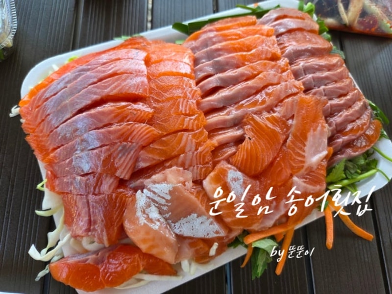 전북 진안 운일암송어횟집, 운일암반일암캠핑장 + 캠핑요리 추천