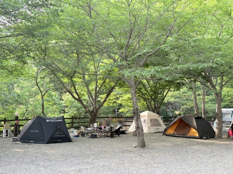 [양산 원동 청수가든캠핑장] 친구 셋이서 오캠 다녀온 브이로그!