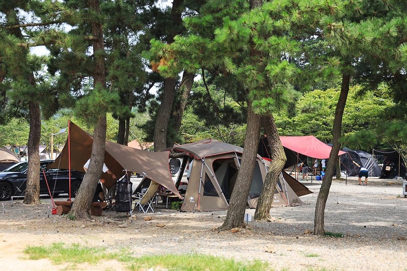 대부도나라캠핑장 시설 사진 4