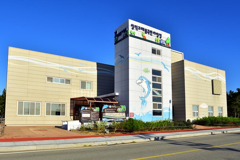 영덕 고래불 국민 야영장 시설 사진 26