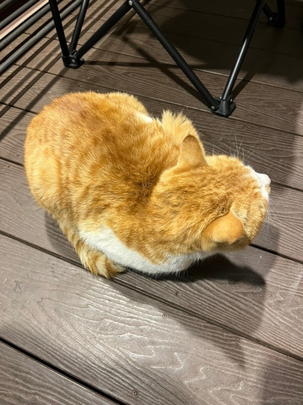 [원주 글램핑/치악산뷰 글램핑] 라하글램핑 올해 두번째 방문...