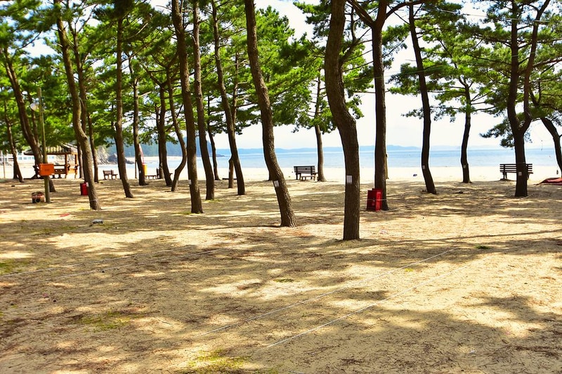 연포제1야영장 시설 사진 4