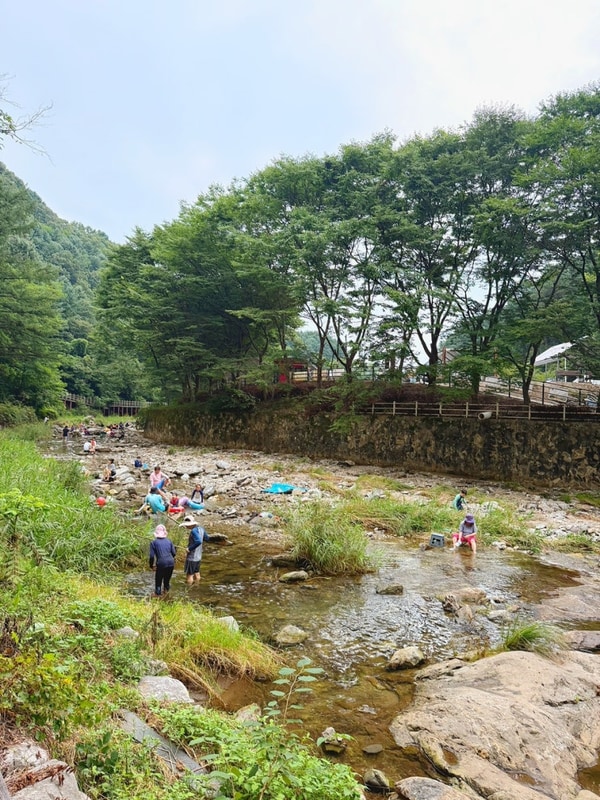 남양주계곡 수동가족쉼터 캠핑장 서울근교 취사가능 무료주차...