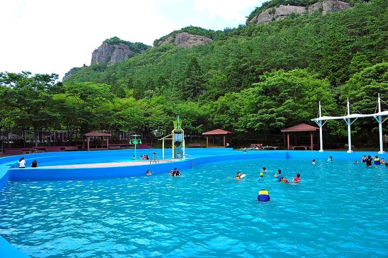 유치 자연휴양림 대표 사진