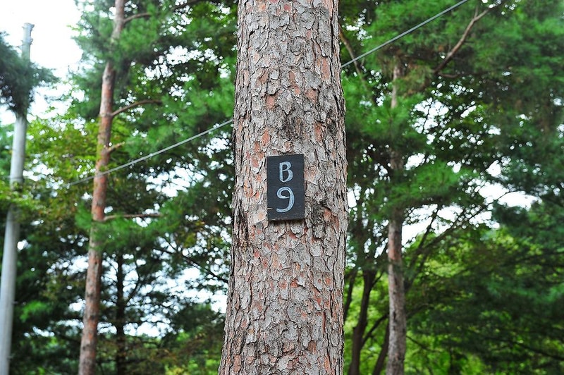 계곡과소나무 캠핑장 시설 사진 8