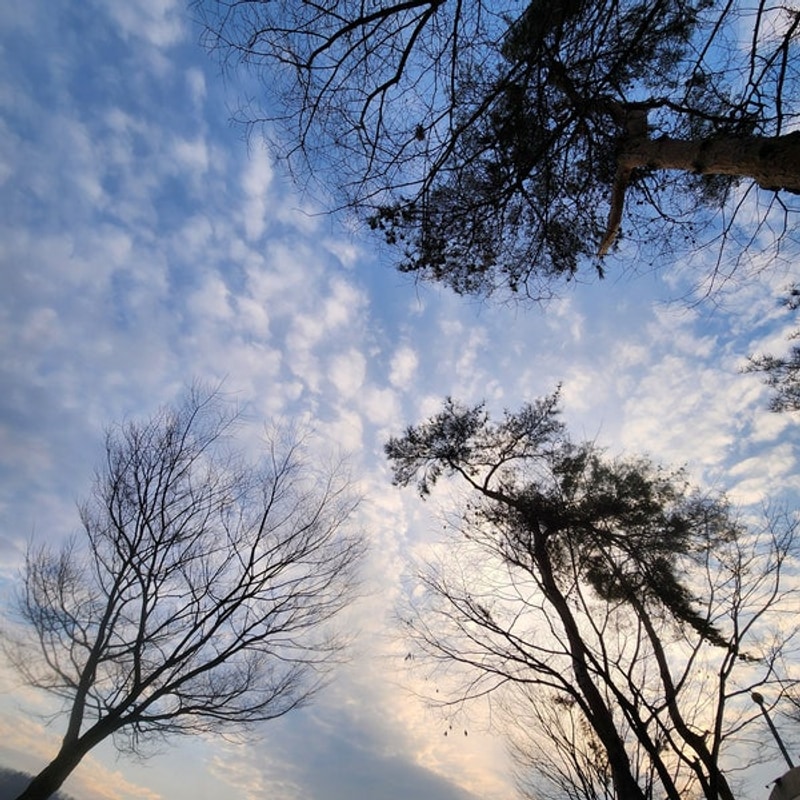 용인 미르힐 캠핑장 별빛사이트 4번 동물농장있는 키즈캠핑장