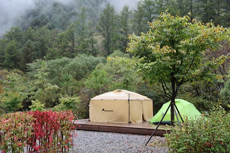 459. 갯골자연휴양림 야영장 [ 2025. 10. 17 ~ 10. 19 ]