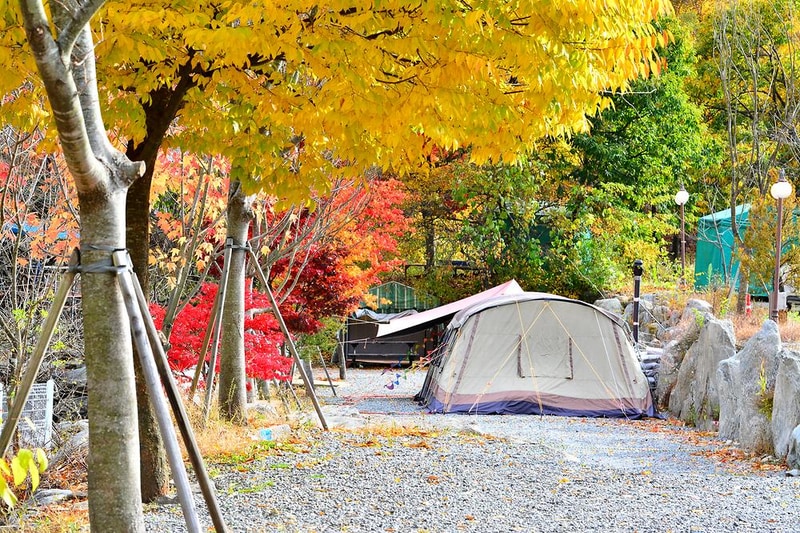 올래캠핑장 시설 사진 9