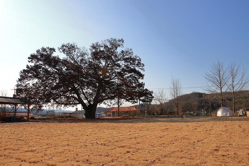 피플앤독 느티캠핑장 시설 사진 4