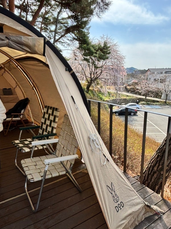 경남 진주 청춘별곡 캠핑장 (벚꽃캠핑, 금산 금호지...