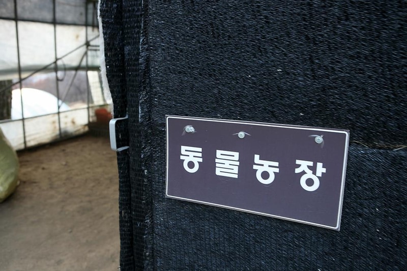 정광산 관광농원 시설 사진 3