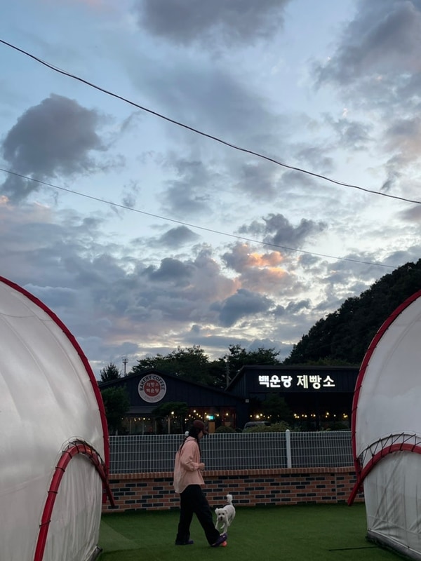 포천 애견동반 글램핑 | 쏘쿨이네 재방문 후기 ʕ•̀ω•́ʔ✧