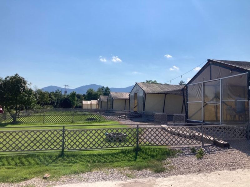 장흥 땡땡이글램핑 다녀왔어요 ️#장흥#글램핑