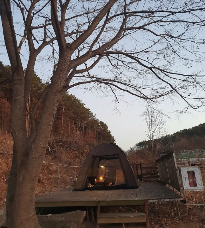 김포 애견 동반 캠핑장, 봉바위농원 다 3번