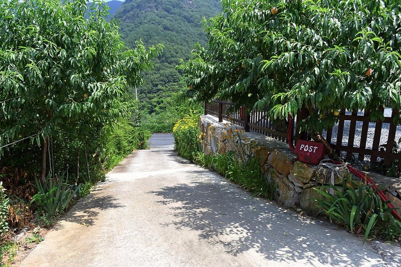 솔바람오토캠핑장 시설 사진 13