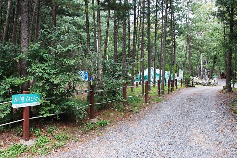 수리덤 캠핑장 대표 사진