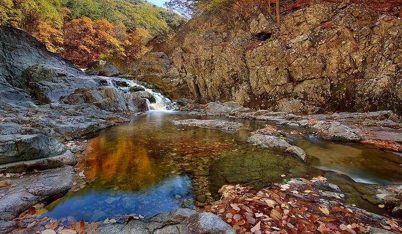 에코팡팡캠핑장 시설 사진 4