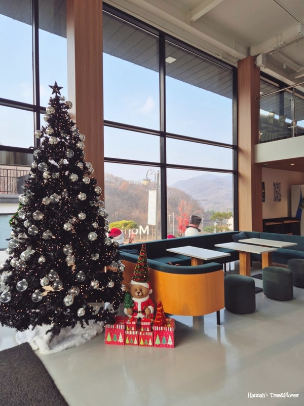 대전 근교 천안 글램핑 몽키캠핑장