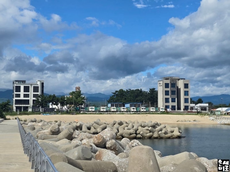 강릉 경포 카라반파크 [씨카라반] 바닷가 바로 앞