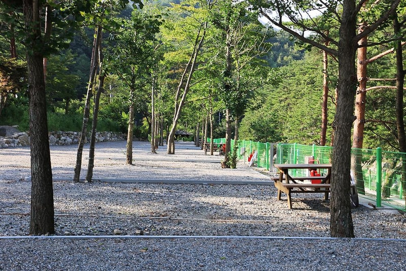 법수치오토캠핑장 시설 사진 11