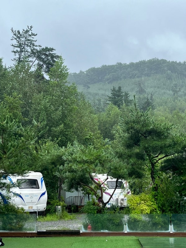 [포천] 청결한 시설에서... 청계호수 자작나무 숲 캠핑장