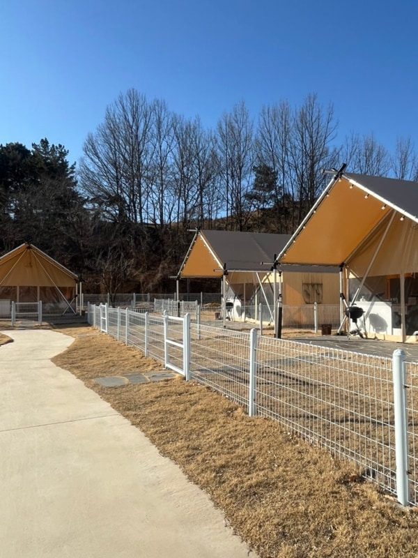 칠곡 캠핑장 하이스트글램핑장 대구 근교 캠핑장 추천