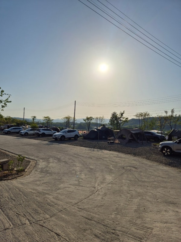 양평 신생 캠핑장 달마당캠핑장 리뷰 C구역