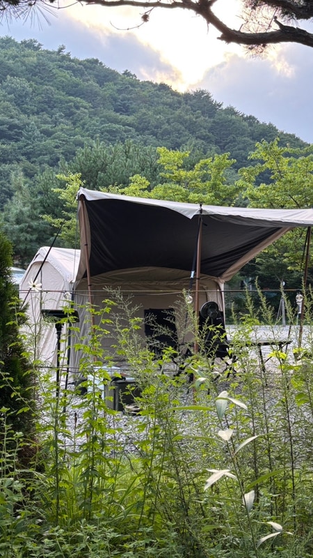 [평창] 흥정계곡이 바로 앞에... 캠핑장, 캠프고토일(GO 1번...