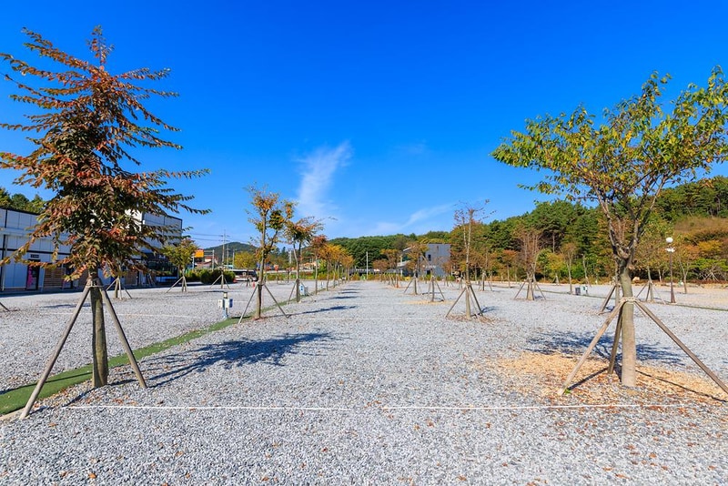 노리터 키즈 캠핑장 시설 사진 14