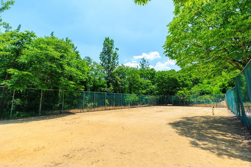 경상북도교육청김천오토캠핑장 시설 사진 18