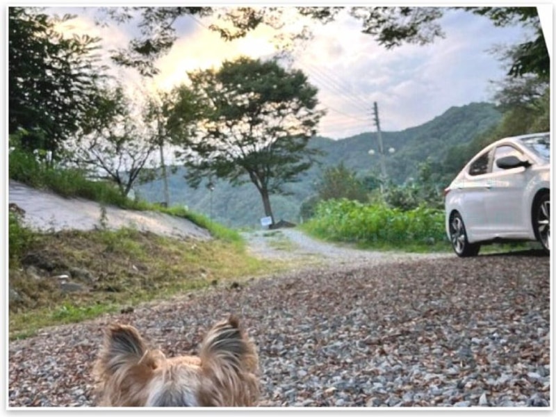 아름다운 강원도 횡성캠핑장, 청일관광농원에서의 특별한 경험