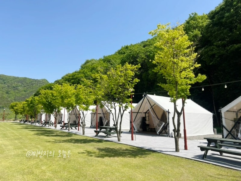 전남 장성 글램핑 그림 같았던 애플글램핑 내돈내산 후기