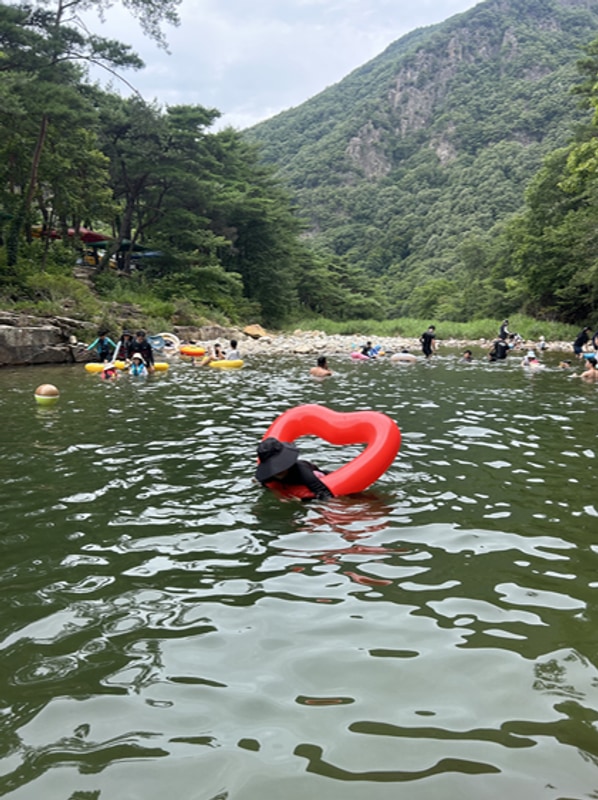 [충북 계곡] 서울 근교 괴산 쌍곡계곡 평상 솔밭캠프 +25년 7월...