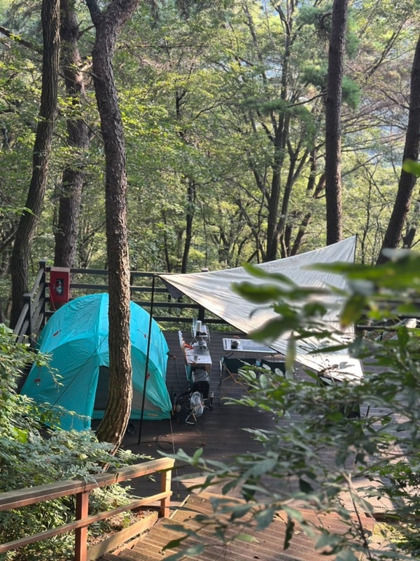 부산 근교 캠핑장 추천 / 김해 신어산 자연숲 캠핑장 내돈내산 후기
