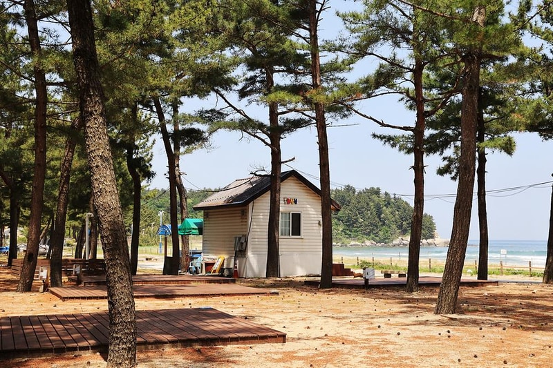 북분솔밭캠핑장 시설 사진 24