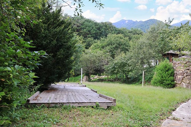 모란골관광농원 대표 사진