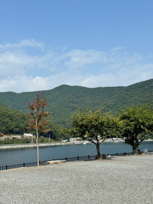 고성 놀터캠핑장 오션뷰, 해루질, 갯벌, 산수랜드 가족탕