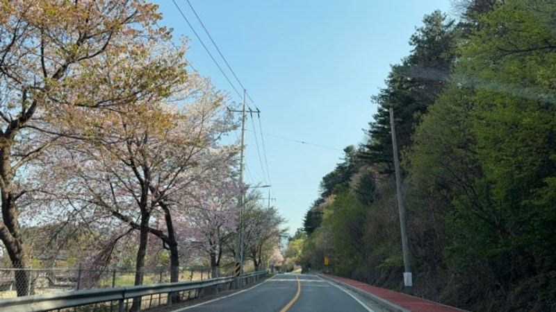 2박우선예약이 없어 1박하기 좋은 가평 물의나라캠핑장