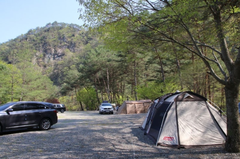 강과 숲이 조화를 이루고 있는..영월의 리버힐즈 오토캠핑장...