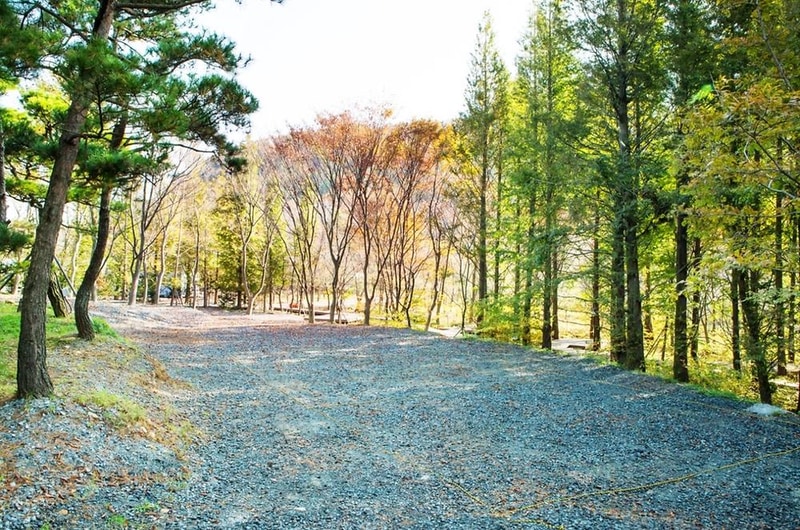 노꼬담꼬 시설 사진 33