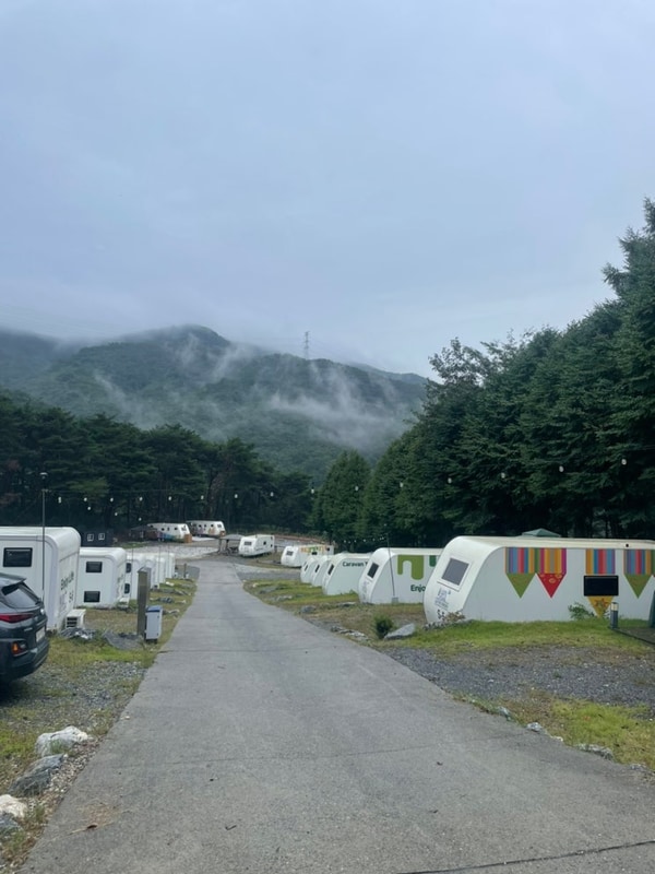 제천카라반여행 제천카라반더그린 숲속 힐링 캠프 (바베큐)